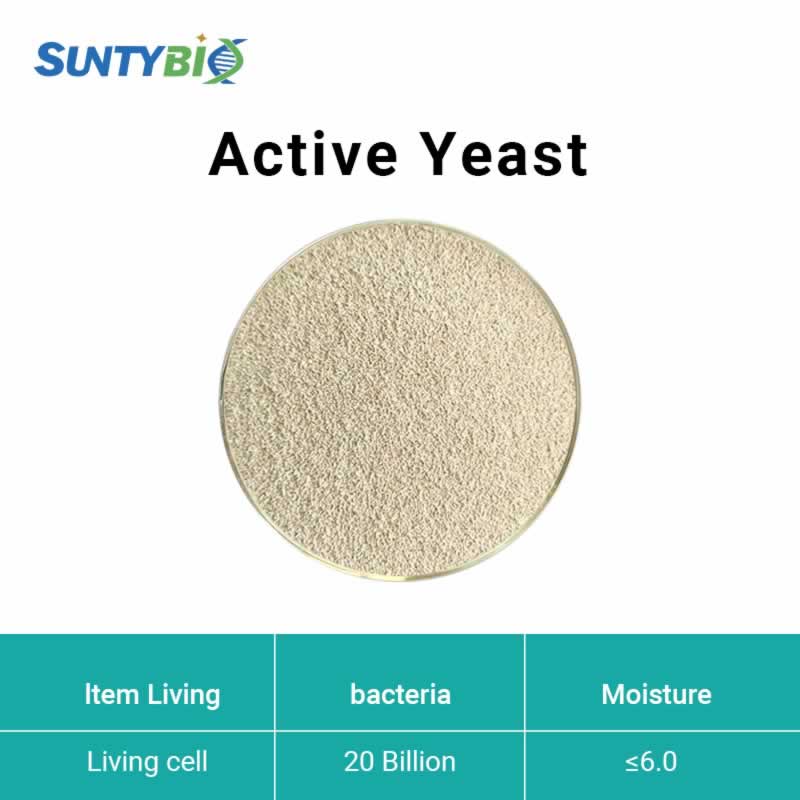 Active Dry Yeast/Active Yeast