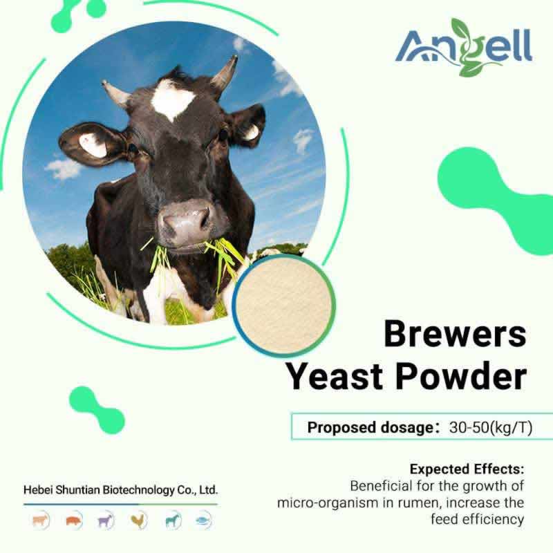 Brewer’s yeast